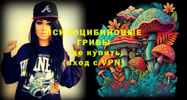мяу мяу мука Бугульма