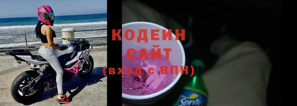 шишки Верхний Тагил