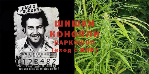 шишки Верхний Тагил