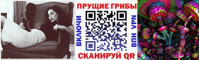 Псилоцибиновые грибы мухоморы  где найти наркотики  Волосово 